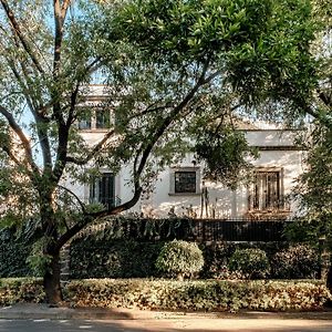 Pug Seal Polanco Anatole France